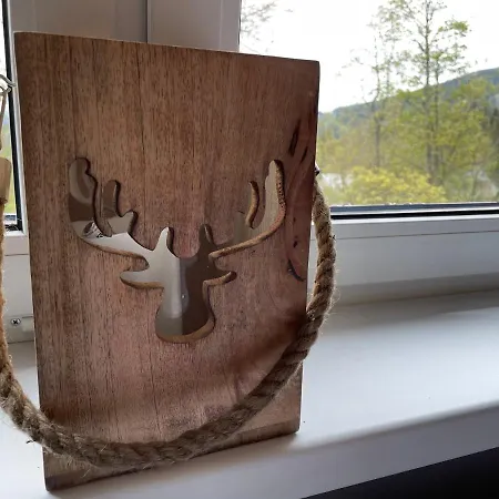 Maxi * Стражне